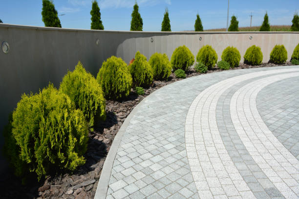 Best Decorative Driveway Pavers  in Hedwig Village, TX